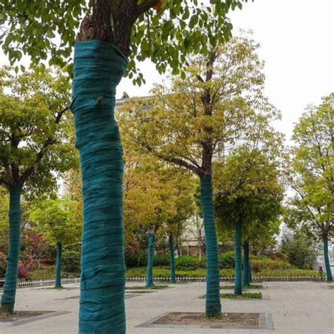 Asdomo Winter-proof Tree Protector Wrap - 20m India | Ubuy