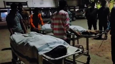 Madhya Pradesh: Family Dies In A Road Accident While Rescuing Animals ...