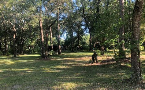 274 NW Michelle Place, Lake City, FL 32055 [Lot/Land] | Homes.com