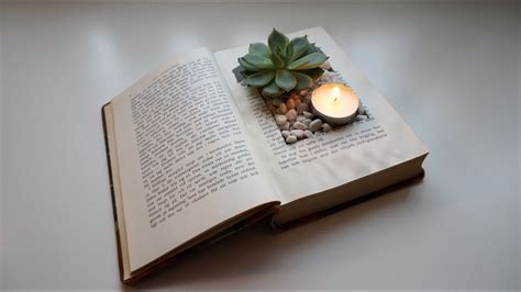 NORTHSIDE: Succulent Saturday (For Grades K-1 ONLY) | Northside Events ...