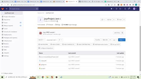 How to Push .Net Project into GitLab 的图像结果