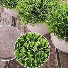 Buy Dekorly® 4 Packs Artificial Potted Plants Bathroom Fake Shelf Plant ...