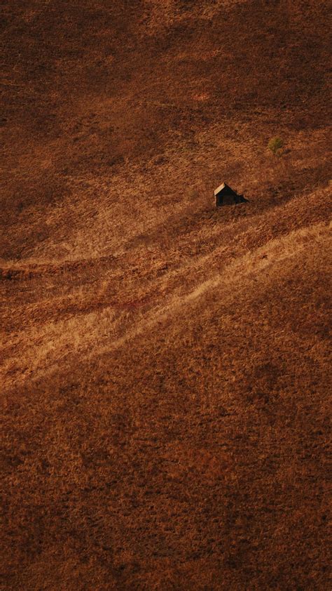 Earth No Background 的图像结果