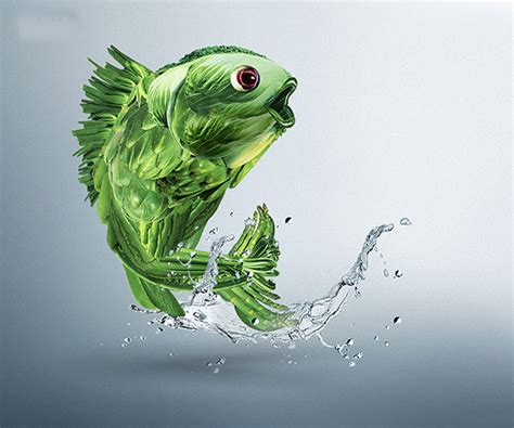 Webnmobapps Solutions Pvt. Ltd.