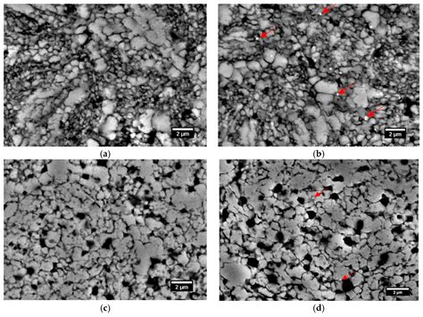 Microstructure, Mechanical, and Corrosion Properties of Ni-Free ...