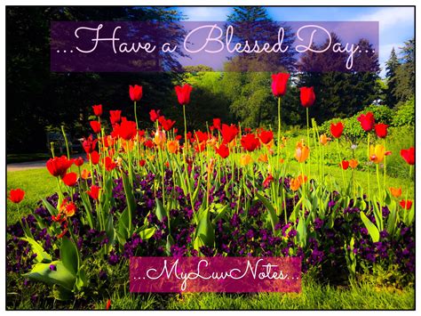 ...have a blessed day... | Have a blessed day, Blessed, Neon signs
