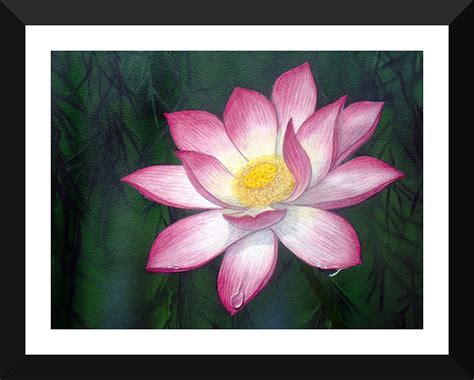 Tallenge - Dew Soaked Lotus - Floral Paintings Collection - Large ...