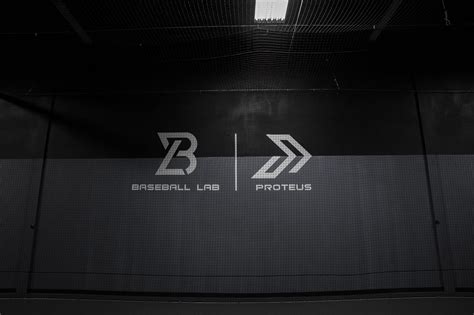 Image result for Baseball Lab
