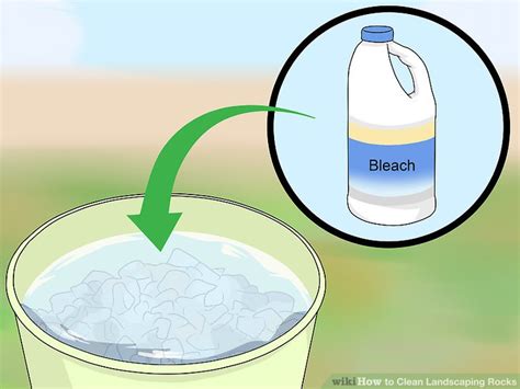 How to Clean Garden Rocks 的图像结果