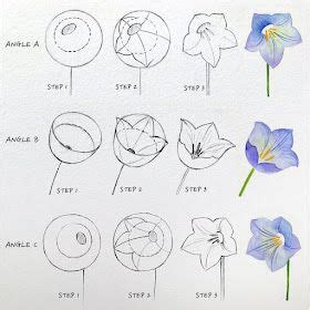 Image result for Drawing Tutorial for Flower