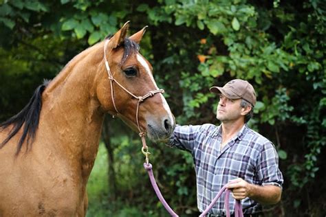 Ground Work and Difficult Horse Clinic with Nelson Detweiler , Mulligan ...