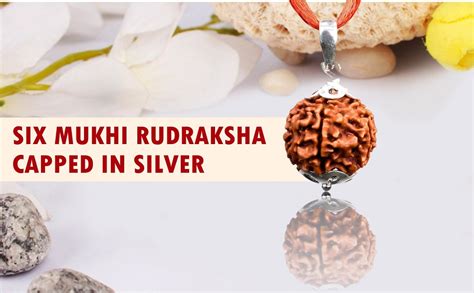 Saubhagya Global 6/ Six Mukhi Rudraksha, Laboratory Certified ...
