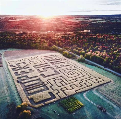 Top 5 fall family fun PYO pumpkin patches from Clarington to Oshawa to ...