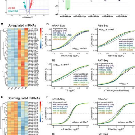 RNA Polya 的图像结果