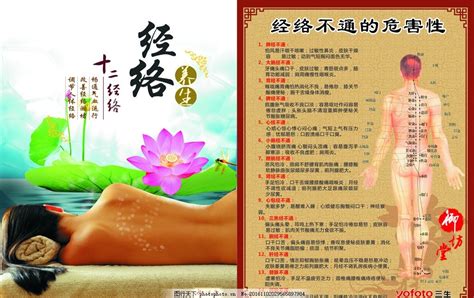 中医经络养生平面广告素材免费下载(图片编号:4751981)-六图网