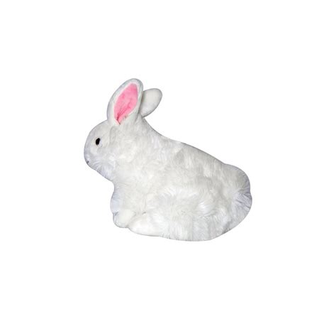Shop Soft Buddies Premium White Rabbit Quirky Soft Toys for Kids age ...