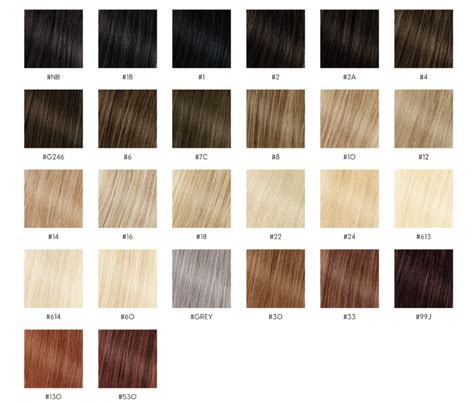 Image result for Wig Color Chart with Numbers