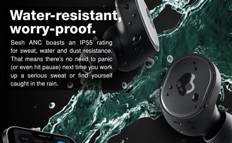 Skullcandy Sesh ANC True Wireless in-Ear Earbuds - True Black : Amazon ...