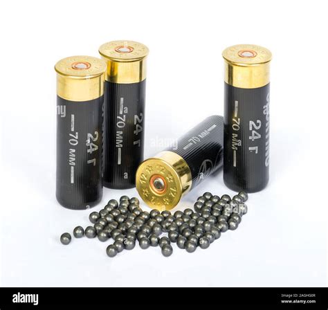 Image result for Shot Shells Bullets