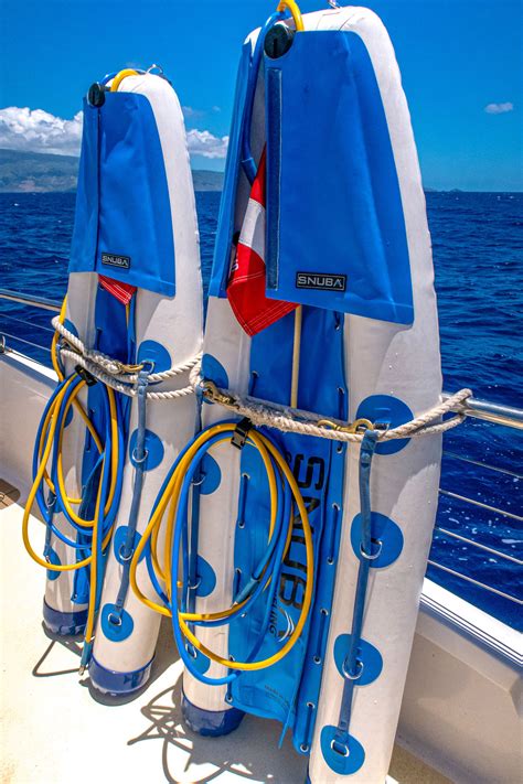 The Ultimate Guide To SNUBA® Diving: All You Need To Know | Sandals