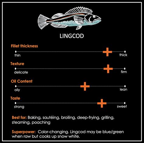 Image result for Lingcod Fillet