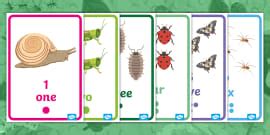Numbers 0-30 Minibeasts - Twinkl