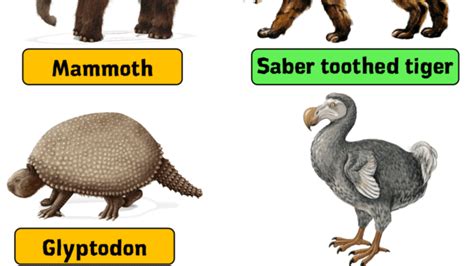 Image result for Extinct Creatures