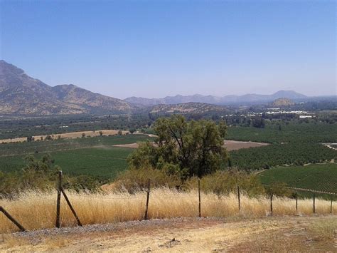 CHILE ROUTES TOURS (2024) All You Need to Know BEFORE You Go (with ...