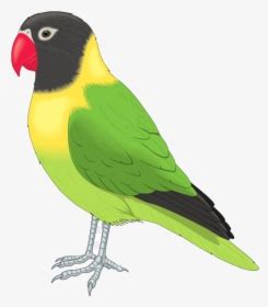 Image result for Python VSC Performance