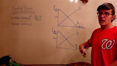 Central Bank Interventions in Foreign Exchange Markets: An In-depth ...