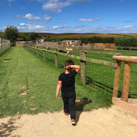 Filey Bird Garden & Animal Park - 2020 What to Know Before You Go (with ...