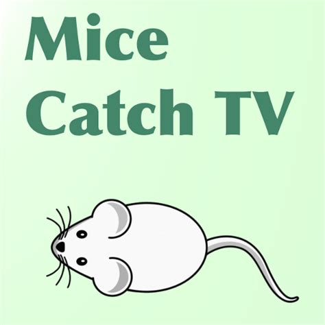 Mice Catch TV - App on Amazon Appstore