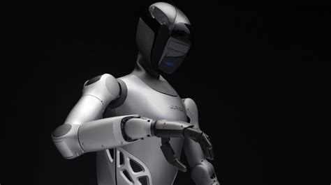 Chinese Robot 的图像结果