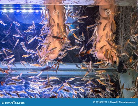 Fish Therapy by Doing Fish Spa with Garra Rufa Fish or Doctor Fish ...