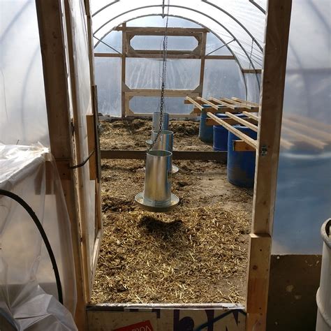 Image result for Brooder House Types