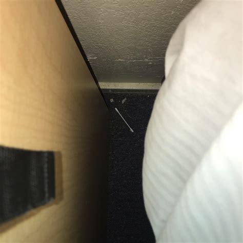 RODEWAY INN (Livermore) - Motel Reviews, Photos, Rate Comparison ...