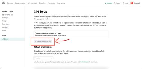 How to Set Openai API Key in Python 的图像结果