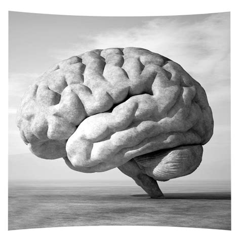 Neurologist in Vijayawada | Best Neurology Hospitals in Vijayawada | Dr ...