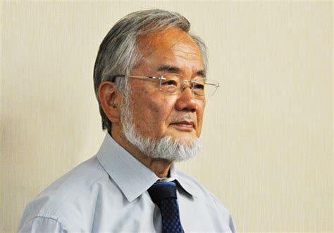 日本分子细胞生物学家大隅良典获诺贝尔医学奖_手机新浪网