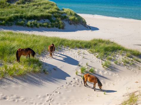 Huit façons de découvrir la baie de Fundy - Tourism Nova Scotia