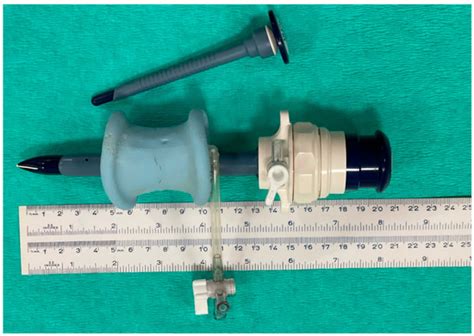 Complications in Laparoscopic Access in Standing Horses Using Cannula ...