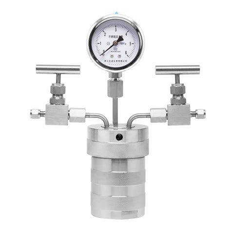 BAOSHISHAN 500ml Hydrothermal Synthesis Autoclave Reactor with India | Ubuy