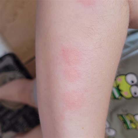 RAMADA BY WYNDHAM COQUITLAM - Hotel Reviews, Photos, Rate Comparison ...