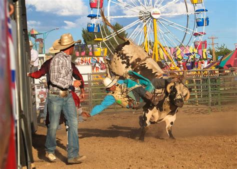 15 Summer County Fairs in Colorado - Uncover Colorado
