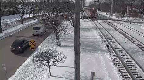 7-day-old boy killed by family dog, authorities say