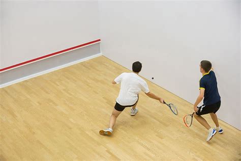 Squash Sport 的图像结果