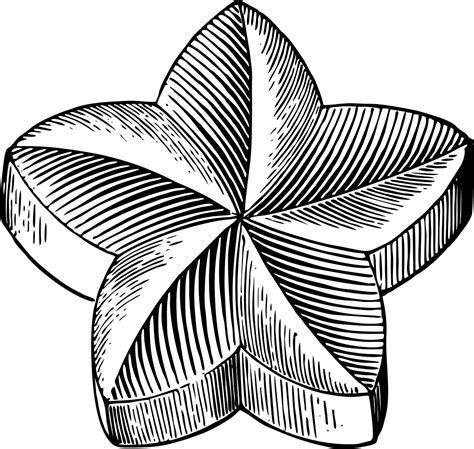 Download Star, Beautiful Flowers, Flower. Royalty-Free Vector Graphic ...