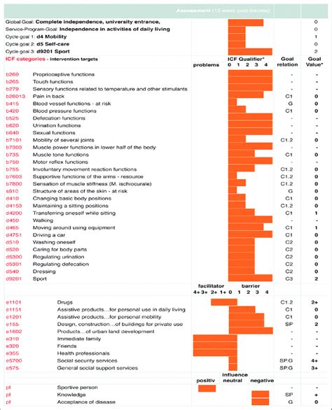 Image result for International Classification of Functioning Scoring