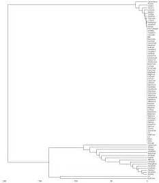 View Python Code Missing 的图像结果