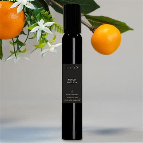 Rezultat imagine pentru Esas Program